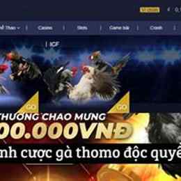 lịch thi đấu đá gà thomo á cược đá gà trực tuyến