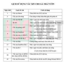 lịch tiêm vacxin cho gà da