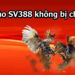 link vào trang đá gà