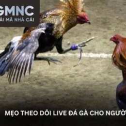 live da ga campuchia