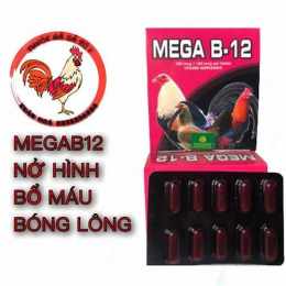 mega đá gà