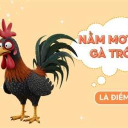 mơ thấy 2 con gà đá nhau