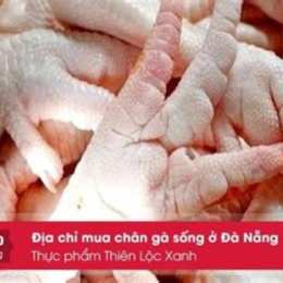 mua chân gà tươi ở đà nẵng
