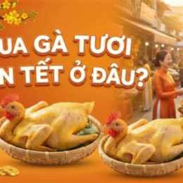 mua da gà tươi ở đầu