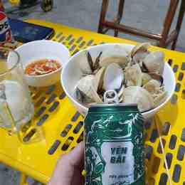 muốn coi đá gà