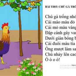 nắng đã lên sáng rồi tiếng chú gà trống gọi