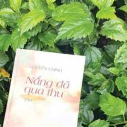 nắng đã qua gã đực