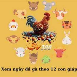 ngay giap ty da ga mau gi