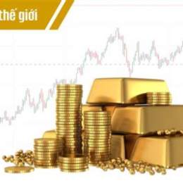 ngày hôm nay da gà màu gì mạnh nhất 2024