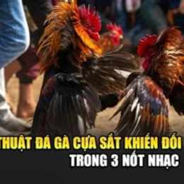 nghe thuat da ga cua sat