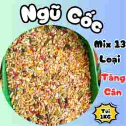 ngũ cốc gà đá giá rẻ