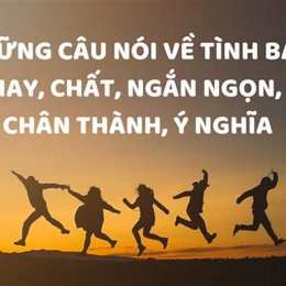 những câu nói hay về gà đá