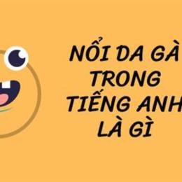 nổi cả da gà tiếng anh