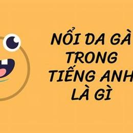 noi da ga tieng anh la gi