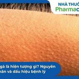 nổi da gà vietsub