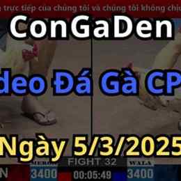 phat lai da ga c2 hom nay
