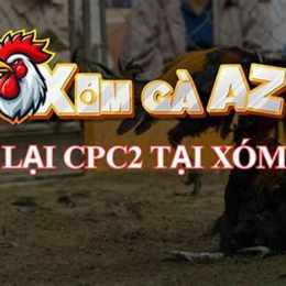 phát lại đá gà c3
