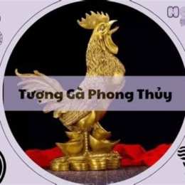 phong thủy gà đá