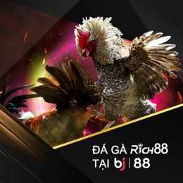 rich88 đá gà
