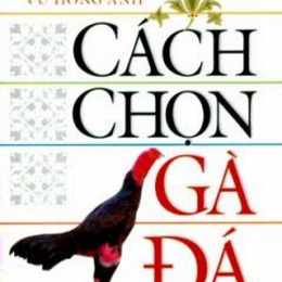 sách cách chọn gà đá