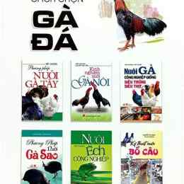 sách gà đá cựa sắt
