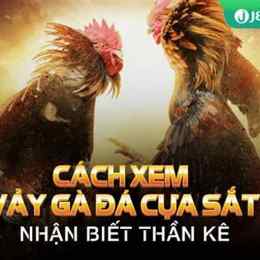 sach xem vay ga da cua sat