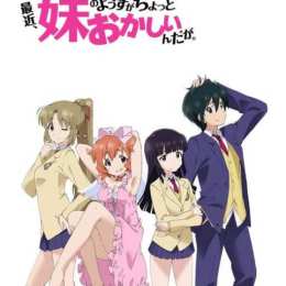 saikin imouto no yousuga chotto okashiin da ga