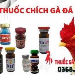 shop ban thuoc ga da uy tin