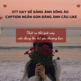 stt hay về đá gà