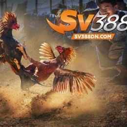 sv đá gà