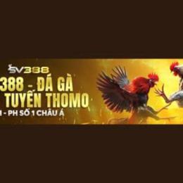 sv388 đá gà trực tiếp thomo