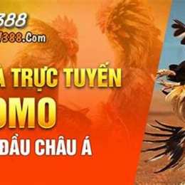 sv388 đá gà trực tiếp tốt nhất việt nam