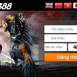 sv388 link đá gà sv388.com không bị chặn mới nhất