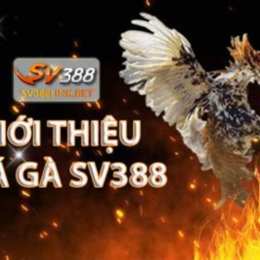sv388 link đá gà thomo sv388link.asia