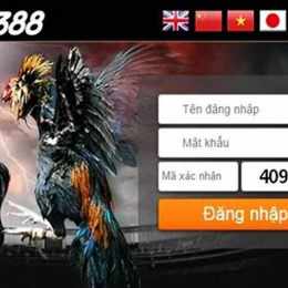 sv388 link truy cập đá gà trực tiếp chính