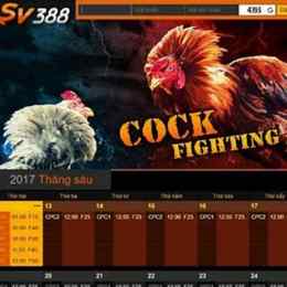 sv388 link truy cập đá gà