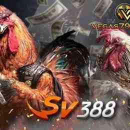 sv388 nhà cái đá gà uy tín