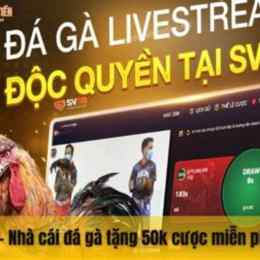 sv88 da ga truc tiep