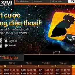tải app đá gà mạng