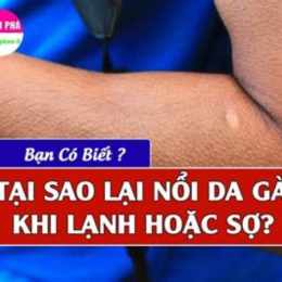 tại sao khi lạnh lại nổi da gà