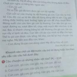 thấy gà con bị cáo già bắt cún con đã làm gì