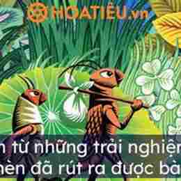 theo em gà con đã rút ra được bài học gì