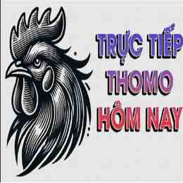 thomohomnay đá gà