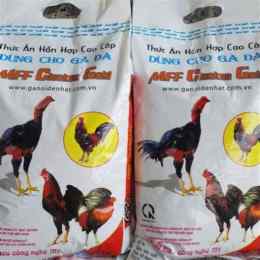 thức ăn cho gà đá có lực