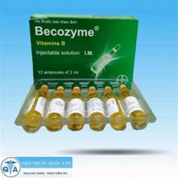 thuốc becozyme cho gà đá