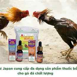 thuoc bo ga da