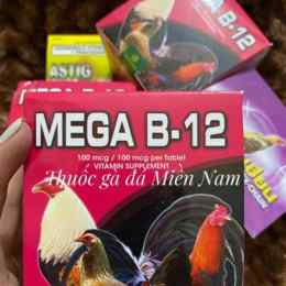 thuốc gà đá b12