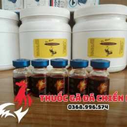thuốc gà đá t97