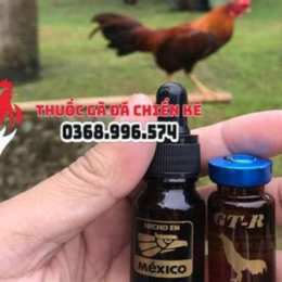 thuốc gà đá tốt nhất