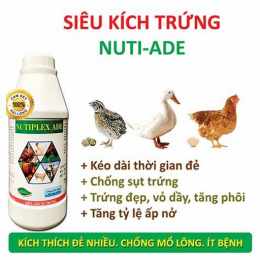 thuốc kích gà đá